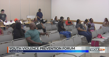 Champaign Library hosts forum to combat youth violence