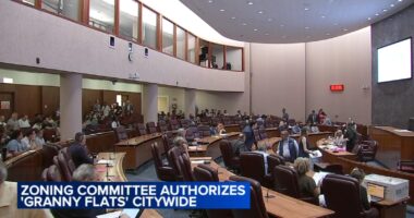 Chicago Committee on Zoning, Landmarks and Building Standards approves ADU, or 'granny flat,' ordinance
