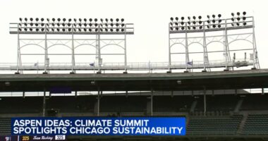 Chicago Cubs spotlight sustainability ideas for food, Wrigley Field at Aspen Ideas: Climate Summit