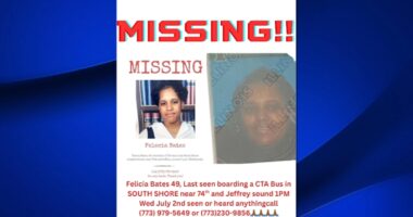 Chicago missing woman: Family searching for Felecia Bates, at-risk woman last seen near South Side CTA bus stop nearly 2 weeks ago