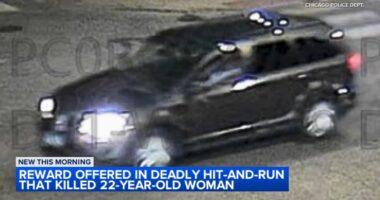 Chicago police release surveillance images of SUV in Pilsen hit-and-run that killed Marcela Herrera