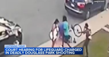 Chicago shooting suspect Charles Leto, a lifeguard, due in court for Douglass Park incident that killed Marjay Dotson, hurt cousin