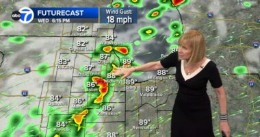 Chicago weather forecast today includes chance of storms, Severe Thunderstorm Watch for area