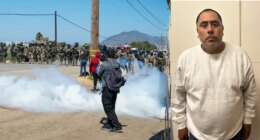 Child predator among more than 300 nabbed in cannabis farm ICE raid, largest of Trump's second term
