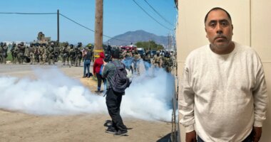 Child predator among more than 300 nabbed in cannabis farm ICE raid, largest of Trump's second term