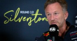 Christian Horner fired by Red Bull after 20 years running the F1 team