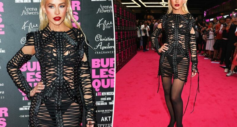 Christina Aguilera is all laced up on 'Burlesque: The Musical' red carpet