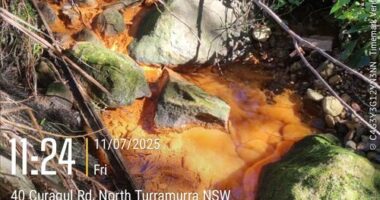 NSW Environment Protection Authority (EPA) responded to a self-report from Ku-ring-gai Council of a leachate leak from a legacy landfill in North Turramurra.