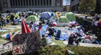 Columbia University Bends the Knee, Agrees to Stunning Settlement With Trump Administration