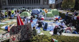 Columbia University Bends the Knee, Agrees to Stunning Settlement With Trump Administration