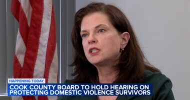 Cook County State's Attorney Eileen O'Neill Burke to attend hearing on domestic violence