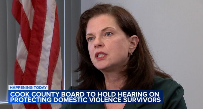 Cook County State's Attorney Eileen O'Neill Burke to attend hearing on domestic violence
