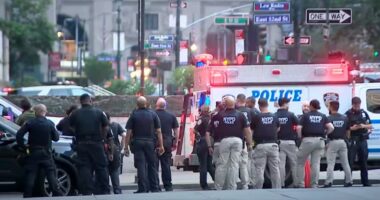 NYPD officers at a New York City shooting scene.
