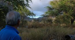 Could this Hawaii community be the next Lahaina? Some residents fear a similar wildfire fate