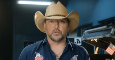 Country singer hit with backlash for poking fun at tech CEO affair