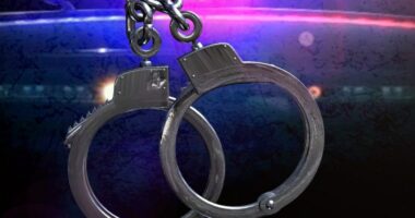 Court records: FBI agent charged with DUI after crash in Knox County
