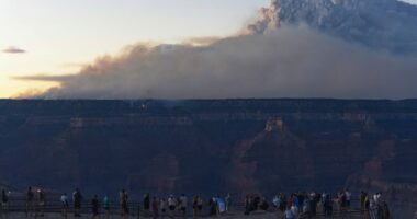 Crews struggle to contain wildfire on the North Rim of the Grand Canyon