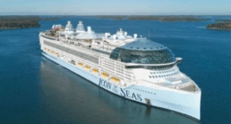 Cruise Ship Crew Member Stabs Another Crew Member, Jumps Overboard