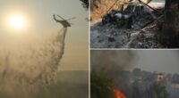 Cyprus wildfire in Troodos mountains destroys homes and cars, two bodies found