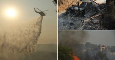 Cyprus wildfire in Troodos mountains destroys homes and cars, two bodies found