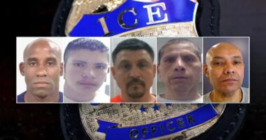 DHS arrests five illegal immigrants convicted of serious crimes, including murder and child abuse