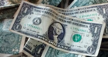 DOJ: Kingsport man claimed million in false tax returns