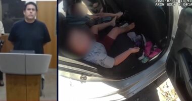 Dad leaves 4 kids in car so he can go to 'Adult' store: Cops