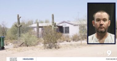 Dad of boy found decomposing on couch is sentenced