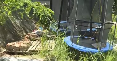 Overgrown yard with a trampoline and stacks of bricks.