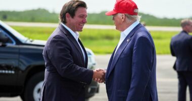 DeSantis administration blindsided officials with Alligator Alcatraz plans