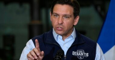 DeSantis warns Musk against third party