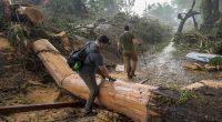 Death toll in central Texas flash floods rises to 78 as sheriff says 10 campers remain missing