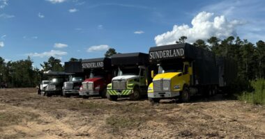 Debris removal at Thurmond Lake recreation areas to begin July 18