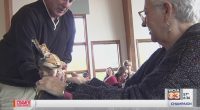 Decatur's Scovill Zoo hosting Dementia Friendly Day