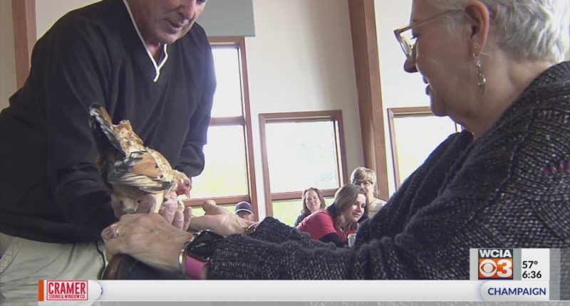 Decatur's Scovill Zoo hosting Dementia Friendly Day