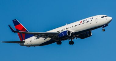 Delta 'claimed flight from Florida airport was canceled due to ice'
