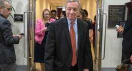 Democrat reveals operation by FBI to comb through Epstein files
