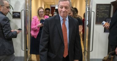 Democrat reveals operation by FBI to comb through Epstein files
