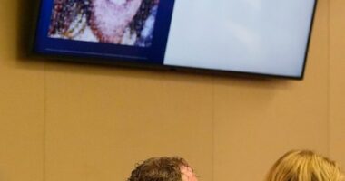 Dentist is convicted of murder, gets life sentence for lacing wife's protein shakes with poison