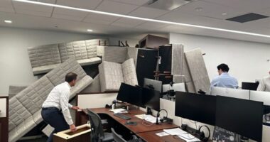 Office workers barricade their workspace with furniture.