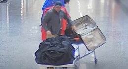 Police allege he then took 53 right-footed shoes only, not pairs, before putting them in his trolley and leaving the centre.