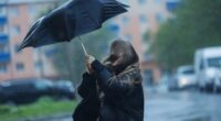 Storm weather. Torrential rain