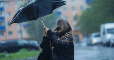 Storm weather. Torrential rain