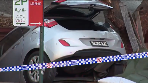 A pet dog has been killed after a car crashed and flew into a backyard in Sydney's inner city.