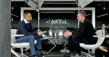 Don Lemon ignites war with Elon Musk as judge makes bombshell ruling