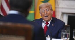 Donald Trump blindsides seven more nations with tariff letters