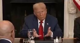 Donald Trump's hilarious gesture to ranting African leader