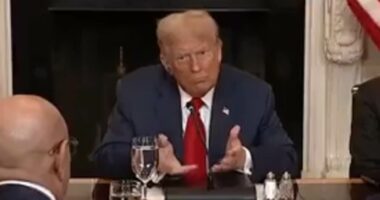 Donald Trump's hilarious gesture to ranting African leader