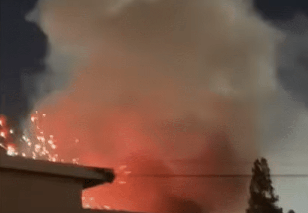 Fireworks igniting a house fire.