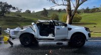 Aï»¿ man is in serious condition after he and his dog became trapped when a gum tree crushed his ute north-east of South Australia.